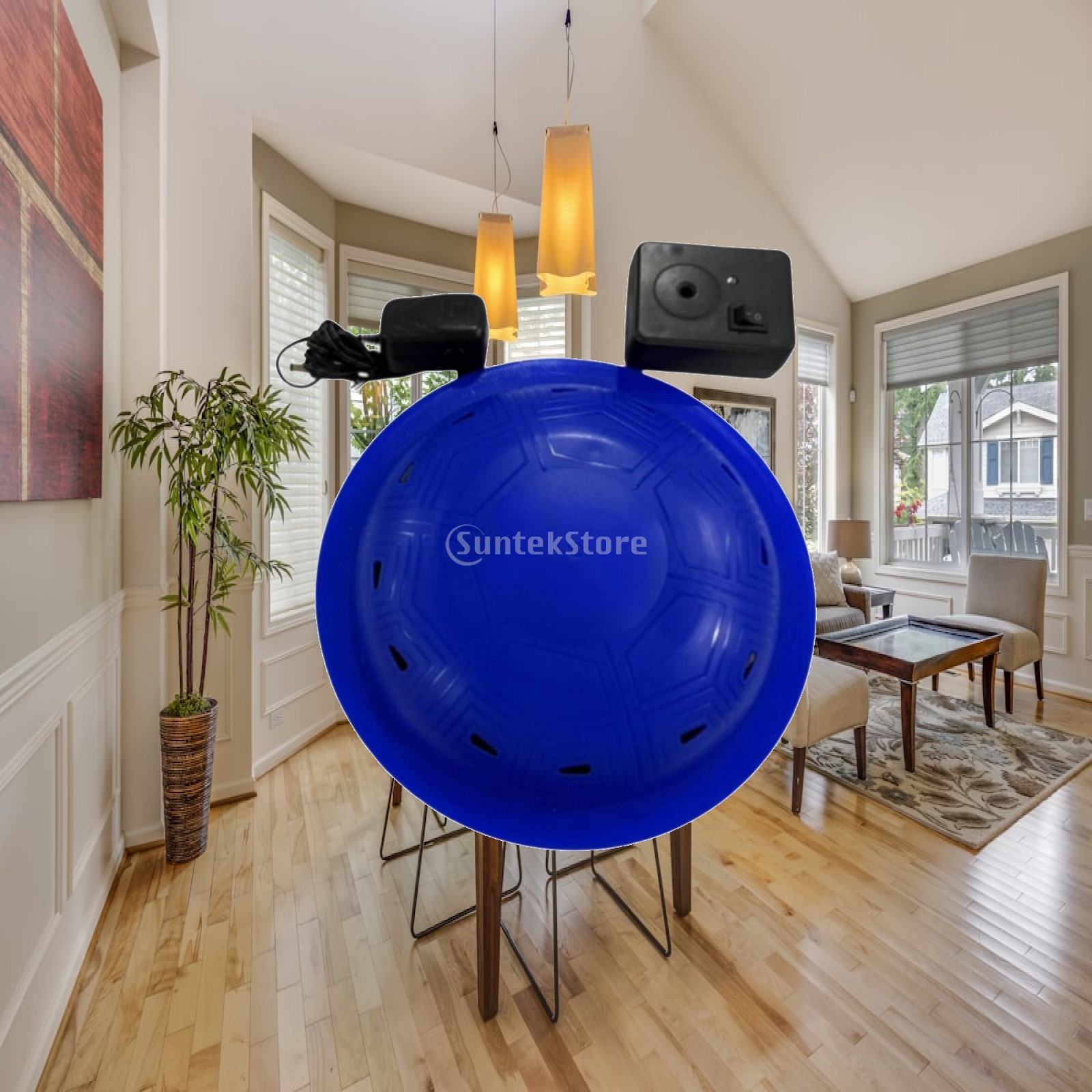 High Decibel Floating Pool Ala - Pool Alarm Float บทวิจารณ์และราคา